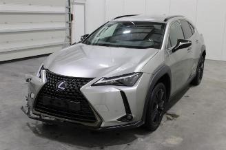 Avarii autoturisme Lexus UX  2021/5