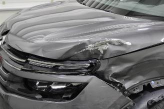 Citroën C5 Aircross  picture 6