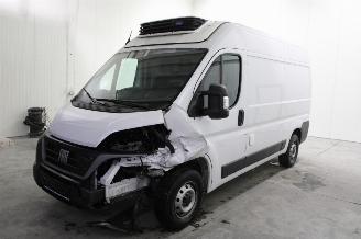 Avarii autoturisme Fiat Ducato  2024/4