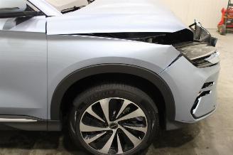 BYD Seal U  picture 5