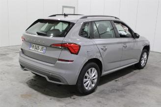 Skoda Kamiq  picture 3