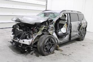 Dezmembrări autoturisme Kia EV9  2024/2