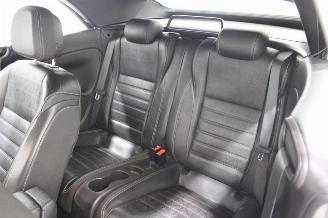 Opel Cascada  picture 10