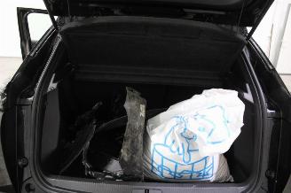 Peugeot 2008  picture 19