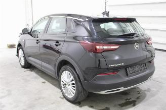 Opel Grandland X picture 4