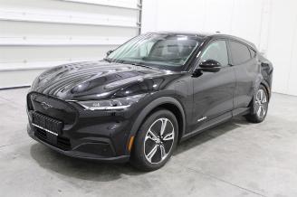 Ford Mustang Mach-e  picture 1