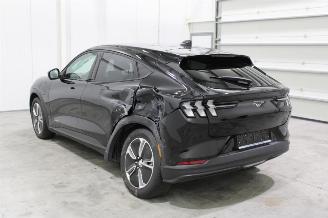 Ford Mustang Mach-e  picture 4