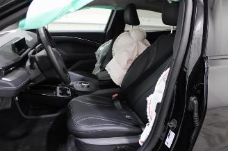 Ford Mustang Mach-e  picture 9