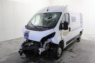 Schadeauto Opel Movano  2022/12