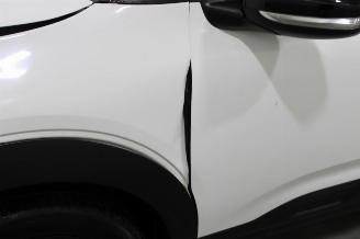 Citroën C4 cactus  picture 5