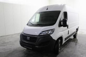  Fiat Ducato  2023/6