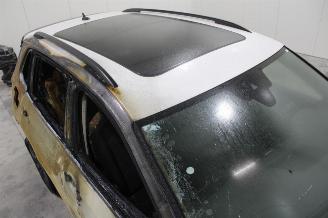 Volkswagen Tiguan  picture 5