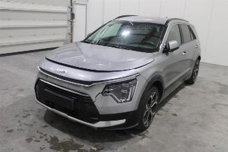 Auto incidentate Kia Niro  2024/1