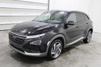 Auto incidentate Hyundai Nexo  2020/11