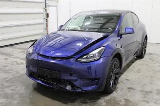 Unfallwagen Tesla Model Y  2024/8