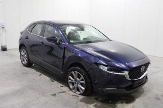 Mazda CX-30  picture 3