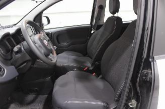 Fiat Panda  picture 8