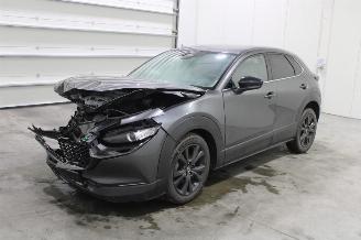 škoda osobní automobily Mazda CX-30  2025/4