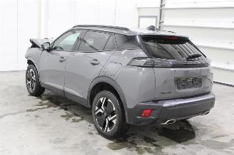Peugeot 2008  picture 4