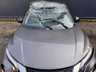 Nissan Juke Juke (F16), SUV, 2019 1.0 DIG-T 12V picture 3