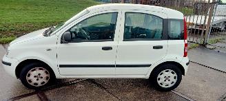 Fiat Panda  picture 2