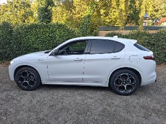 Alfa Romeo Stelvio STELVIO 280 Q4 VELOCE  WIT LEER  START RIJD picture 3