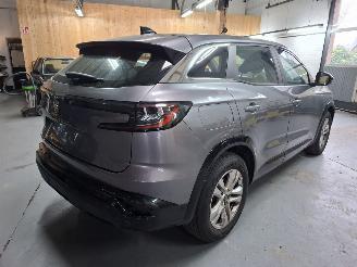 Renault Austral AUSTRAL 2024 12TCE HYBRIDE TERUG VAN DIEFSTAL picture 8