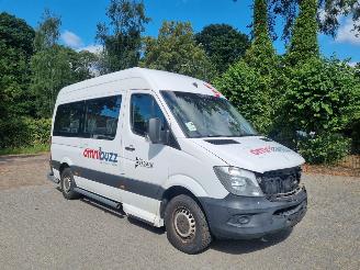 Vaurioauto  passenger cars Mercedes Sprinter 314 CDI Aut 9 Stoelen + Rolstoellift 2017/11