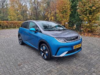 uszkodzony samochody osobowe BYD Dolphin 60.4 kWh Pano Led Navi Camera 2024/9