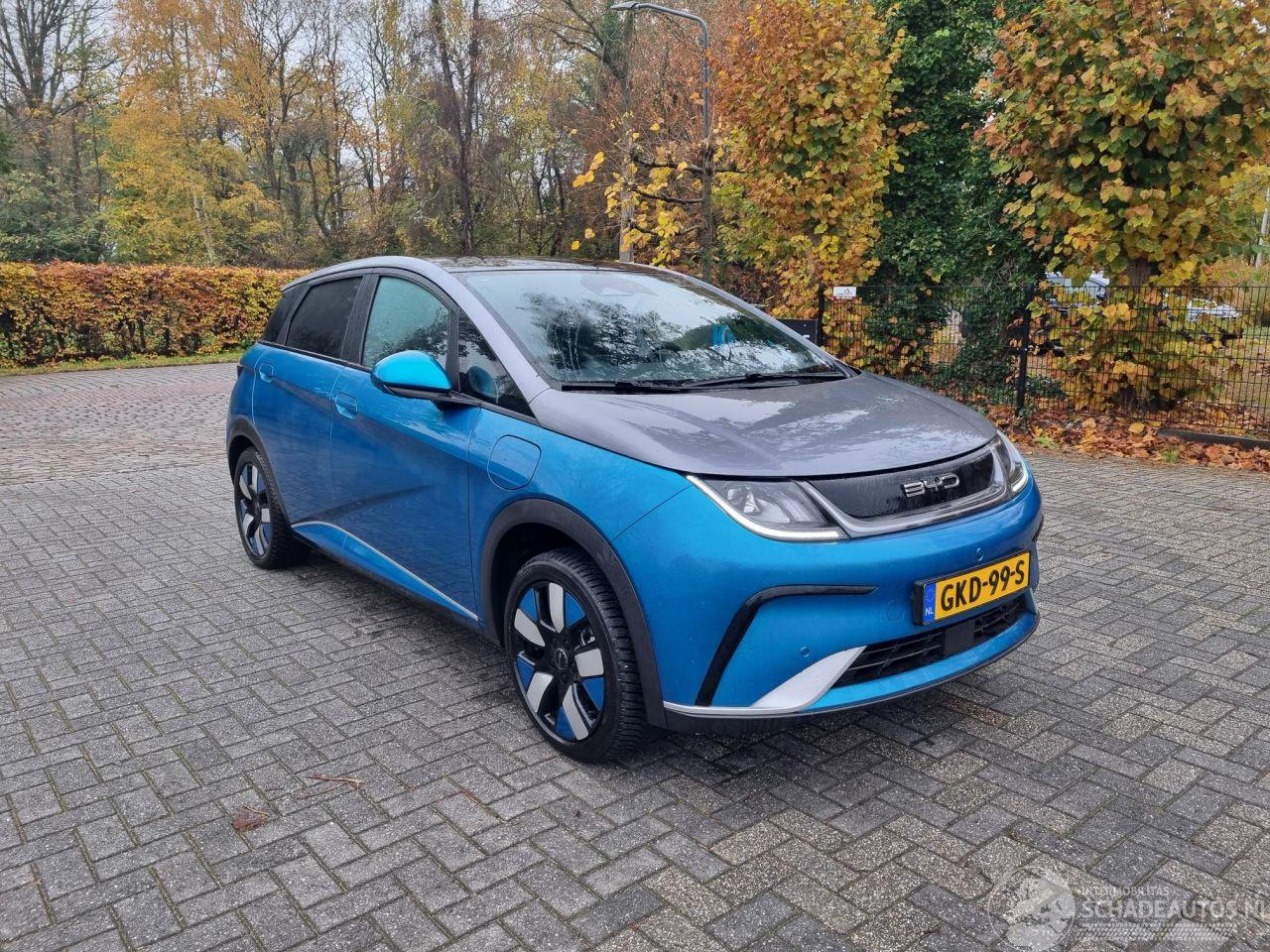 BYD Dolphin 60.4 kWh Pano Led Navi Camera