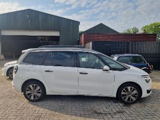 Citroën Grand C4 Picasso e-HDi 115 Aut. 7 Stoelen Pano picture 2