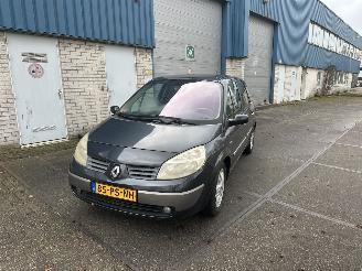 Schadeauto Renault Scenic 2.0 16v Automaat! 2004/11