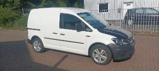 Damaged car Volkswagen   2016/1