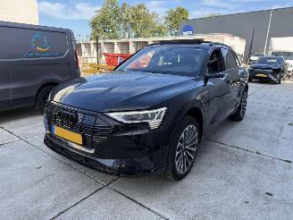 Auto incidentate Audi E-tron 55 quatro Proline -PANO-LEDER-CAMERA-NAVI-408 PK 2019/11