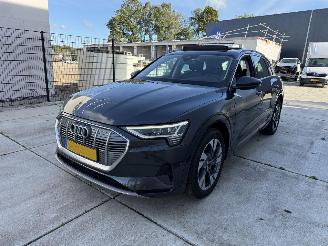 Avarii autoturisme Audi E-tron 50 QUATTRO Launch edition plus 71 kWh PANO - NAVI - LEDER 2019/12