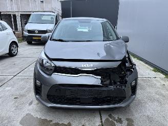 Kia Picanto 1.0 DPi DynamicLine CAMERA - CRUISE picture 12