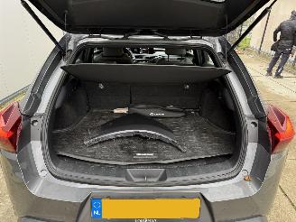 Lexus UX 250h HYBRID CAMERA - KEYLESS - ACC picture 10