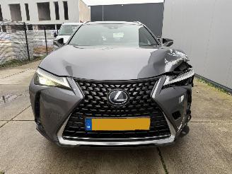 Lexus UX 250h HYBRID CAMERA - KEYLESS - ACC picture 12