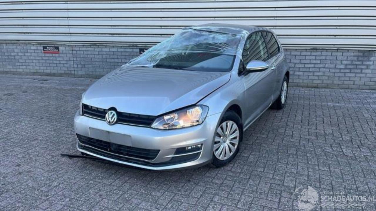 Volkswagen Golf Golf VII (AUA), Hatchback, 2012 / 2021 1.6 TDI 16V