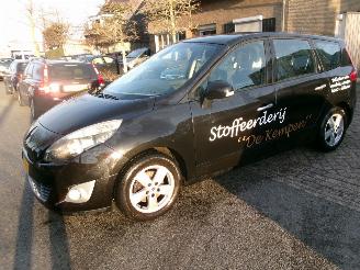 Voiture accidenté Renault Grand-scenic 1.4 I BUSINESS SPORT 7 PERSOONS CLIMA 2010/1