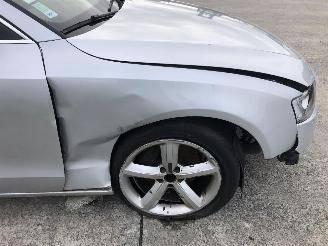 Audi A5 3.0 TDI picture 22