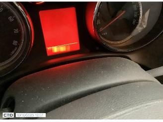 Opel Cascada 1.4  COSMO picture 11