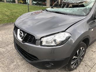 Nissan Qashqai+2 1.6 DCI picture 12