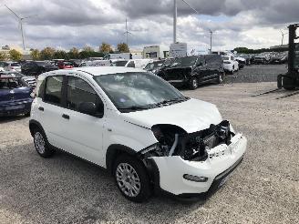 Fiat Panda 1.0 HYBRIDE picture 4