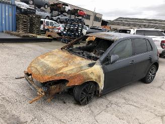 Volkswagen Golf ALLSTAR picture 9