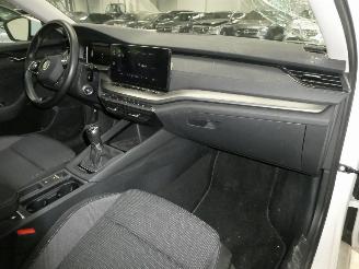 Skoda Octavia AMBITION picture 13