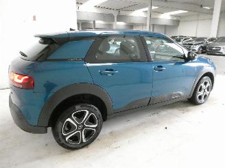 Citroën C4 cactus CACTUS picture 6