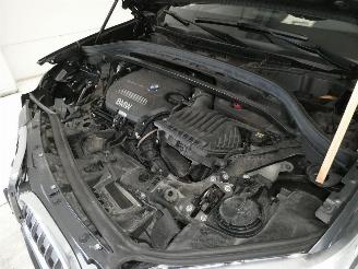 BMW X1 2.0D SDRIVE18D picture 17