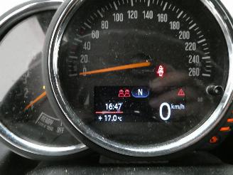 Mini One 1.5 D       ONE D picture 13