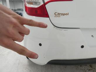 Citroën C4 LIVE picture 12